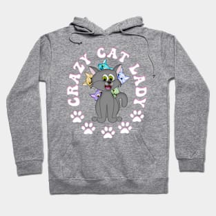 Cute CRAZY CAT LADY Cartoon Hoodie